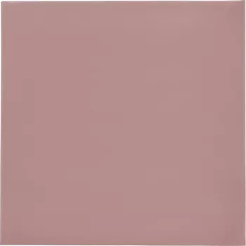 Thermal Grizzly Minus Pad 8 - 100 x 100 x 0,5 mm, 2 vnt.