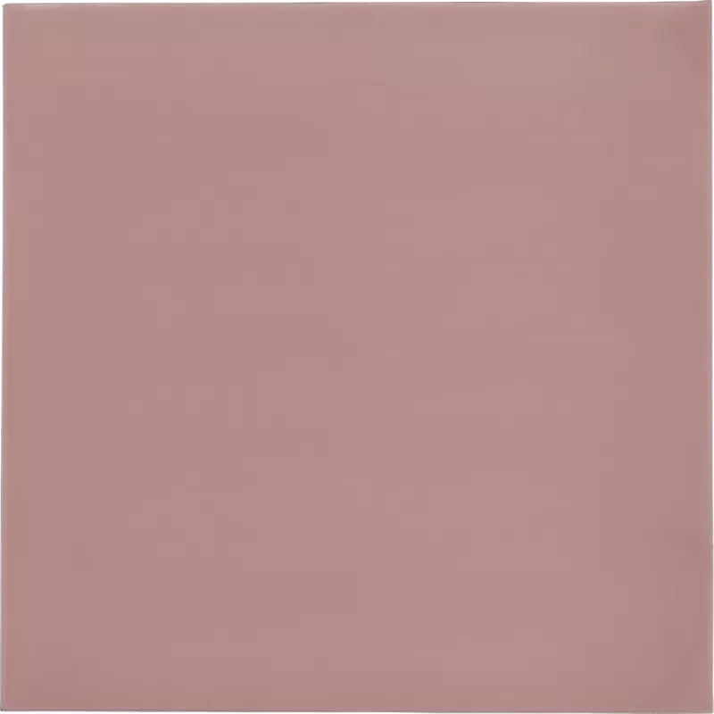 Thermal Grizzly Minus Pad 8 - 100 x 100 x 0,5 mm, 2 vnt.