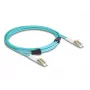 DeLOCK Fiber Optical Cable LC Duplex to LC Duplex OM3 3m