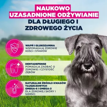 Sausas šunų ėdalas EUKANUBA Mature Small Chicken 3 kg – suaugusiems mažų veislių šunims