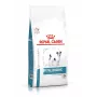 Sausas šunų ėdalas Royal Canin Anallergenic Small 1,5 kg – hipoalerginė suaugusių mažų veislių formulė