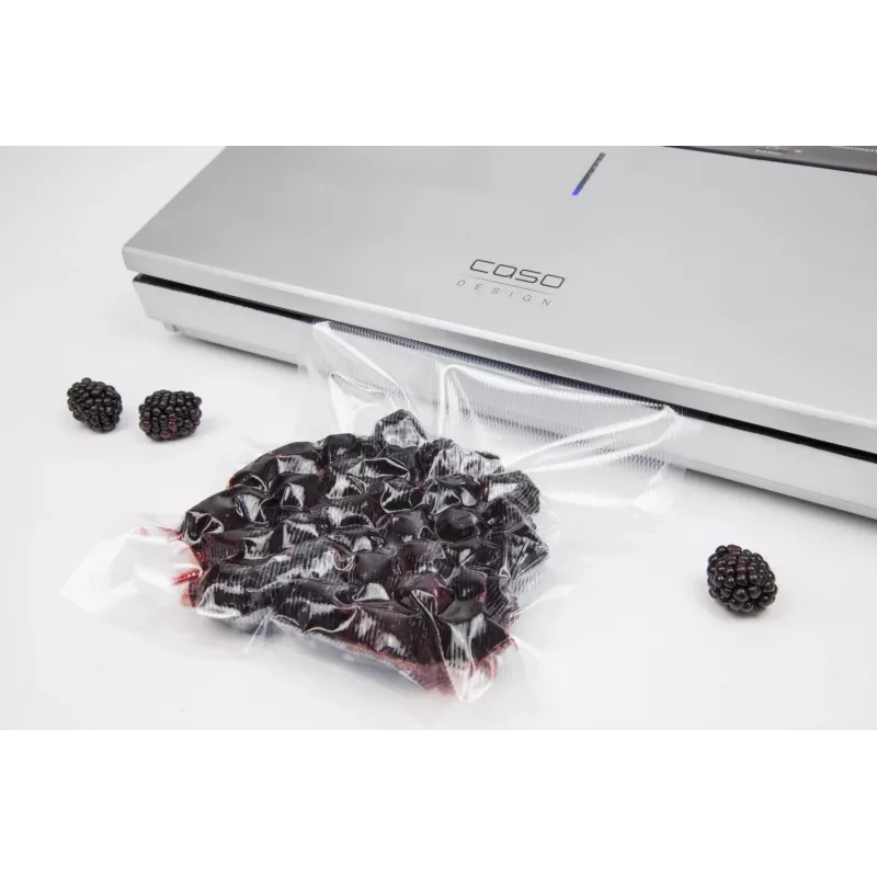 Caso GourmetVAC 480 | Vakuuminis pakuotuvas | 160 W | Sidabrinis