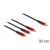 USB įkrovimo laidas DeLOCK 86710 3 in 1 USB Type-C / Lightning / Micro USB 30 cm juodas raudonas