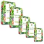 Toraf Seed rinkinys – Set 1X5 2024 Toraf 60X1PCS