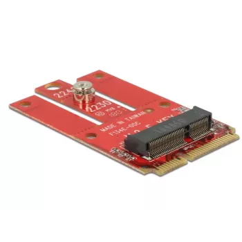 Vidinis M.2 adapteris DeLOCK 63909