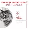 Šlapias kačių ėdalas Royal Canin FHN Ageing 11+ Gravy 12×85 g – senjorams skirti pilnaverčiai dubenėliai