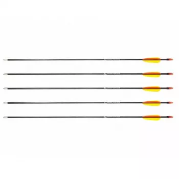 Strėlių rinkinys POE LANG D-055-B3 – stiklo pluošto strėlės, 710 mm, juodos, 5 vnt.