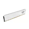 Atmintis XPG Lancer Blade DDR5 6000 32 GB (2x16) CL36 balta