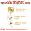 Sausas šunų ėdalas Royal Canin German Shepherd Adult, 11 kg – stambios veislės, paukštiena, 24% baltymų, 19% riebalų