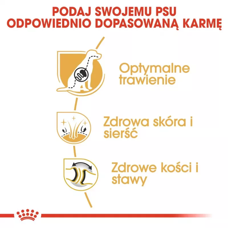 Sausas šunų ėdalas Royal Canin German Shepherd Adult, 11 kg – stambios veislės, paukštiena, 24% baltymų, 19% riebalų