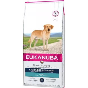 Sausas šunų ėdalas EUKANUBA suaugusiems Labrador Retrievers 12 kg – Vištiena ir Kalakutiena, 23% baltymų, 13% riebalų