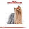ROYAL CANIN BHN Yorkshire Terrier Adult sausas šunų maistas - 7.5 kg