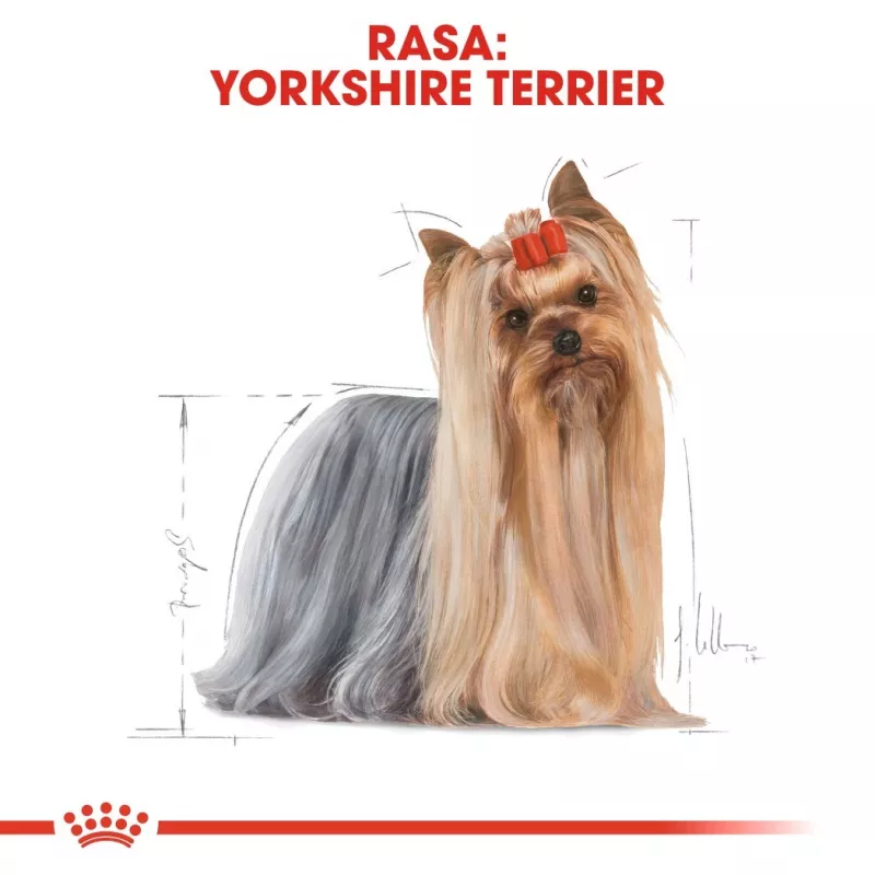ROYAL CANIN BHN Yorkshire Terrier Adult sausas šunų maistas - 7.5 kg
