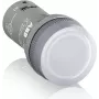 ABB 1SFA619403R5238 Panikknopf Wired (1SFA619403R5238)