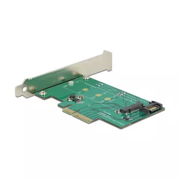 DeLOCK 89381 vidinė PCIe sąsajos plokštė M.2 SATA lizdui