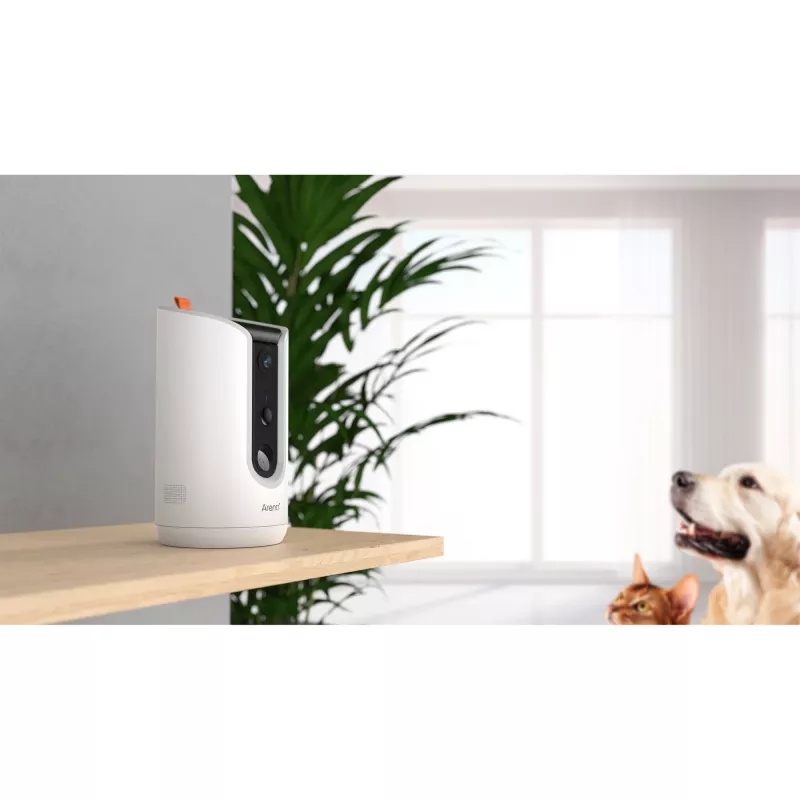 Arenti PETCAM1T Vidinė WiFi IP stebėjimo kamera su ėdalo dozatoriumi