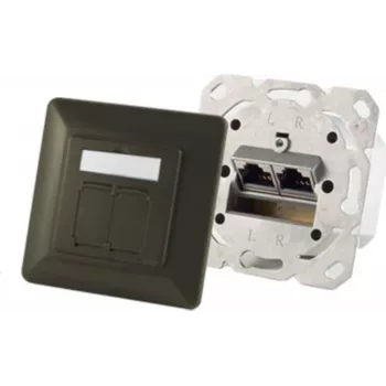 Kištukinis lizdas ShiverPeaks S/CONN 74280-A — 2×RJ-45, Cat6a, 500 MHz, metalinis korpusas, antracitas