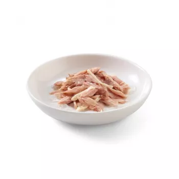SCHESIR Tunas su vištiena drebučiuose – šlapias ėdalas katėms – 85 g