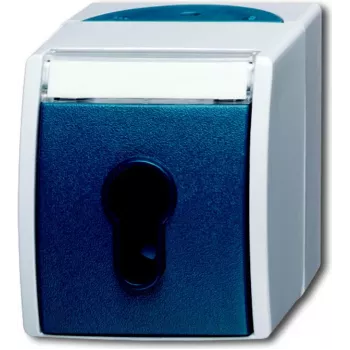BUSCH JAEGER 2733 SLW-53 mėlynai pilkas – IP 44 – 250 V – 74 mm – 55 mm – 83 mm