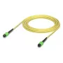 Ubiquiti InfiniBand šviesolaidinis kabelis UACC-OFC-SA-MPMP-5M 5 m OS2 vienmodis geltonas