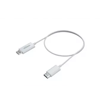 Belaidis adapteris Vivitek VWD-01 projektoriams – kompaktiška USB lazdynėlė belaidžiam vaizdo perdavimui