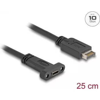 Delock 85454 USB 3.1 E Key A 20 kištukas į C lizdą montavimo laidas 25 cm