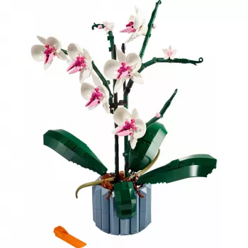 LEGO 10311 Icons Orchid – Dirbtinio augalo konstruktorius su gėlėmis, namų dekoro aksesuaras suaugusiems, Botaninė kolekcija, dovana vyrui ar žmonai