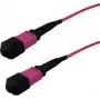InfiniBand šviesolaidinis kabelis GRAFENTHAL GTOM4MPOUMPOU01000 10m MPO OFC violetinis