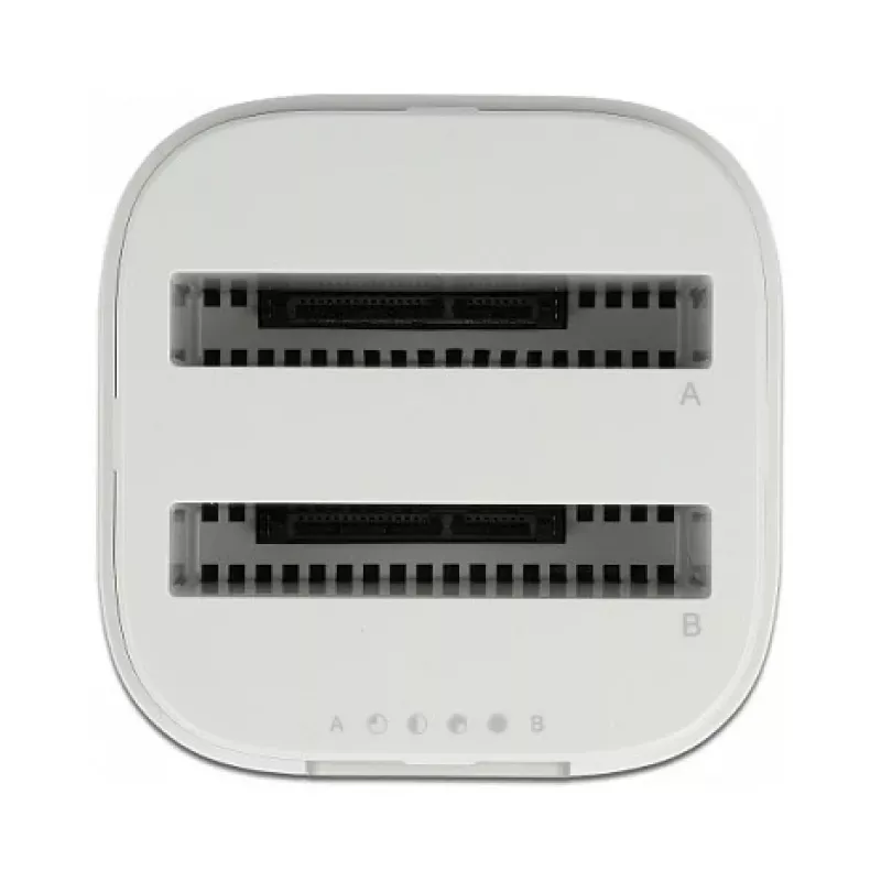 Docking stotelė DeLOCK USB Type-C 3.2 skirta 2 x 2,5 colio SATA HDD/SSD