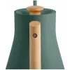 Elektrinis virdulys Fellow Stagg EKG PRO 1L, 1200W, žalia matinė, nerūdijantis plienas, medinė rankena, reguliuojamas 40–100°C