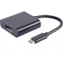 Vaizdo kabelio adapteris ShiverPeaks S/CONN 14-05002 USB-C į DisplayPort 0,2 m