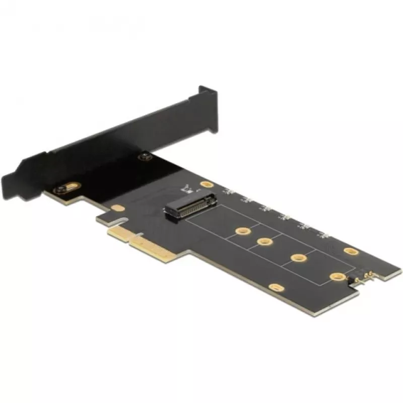 DeLOCK 89013 Vidinė M.2 PCIe sąsajos plokštė, Low-profile