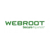 Webroot SecureAnywhere Antivirus 1 metų licencija 1 vartotojui