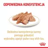 ROYAL CANIN Shih Tzu Adult šlapias šunų ėdalas Pâté 12x85 g