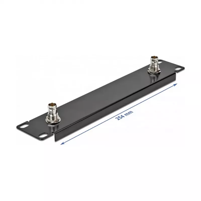Priekinis skydelis DeLOCK 10 colių su 2 x BNC jungtimi 1U juodas