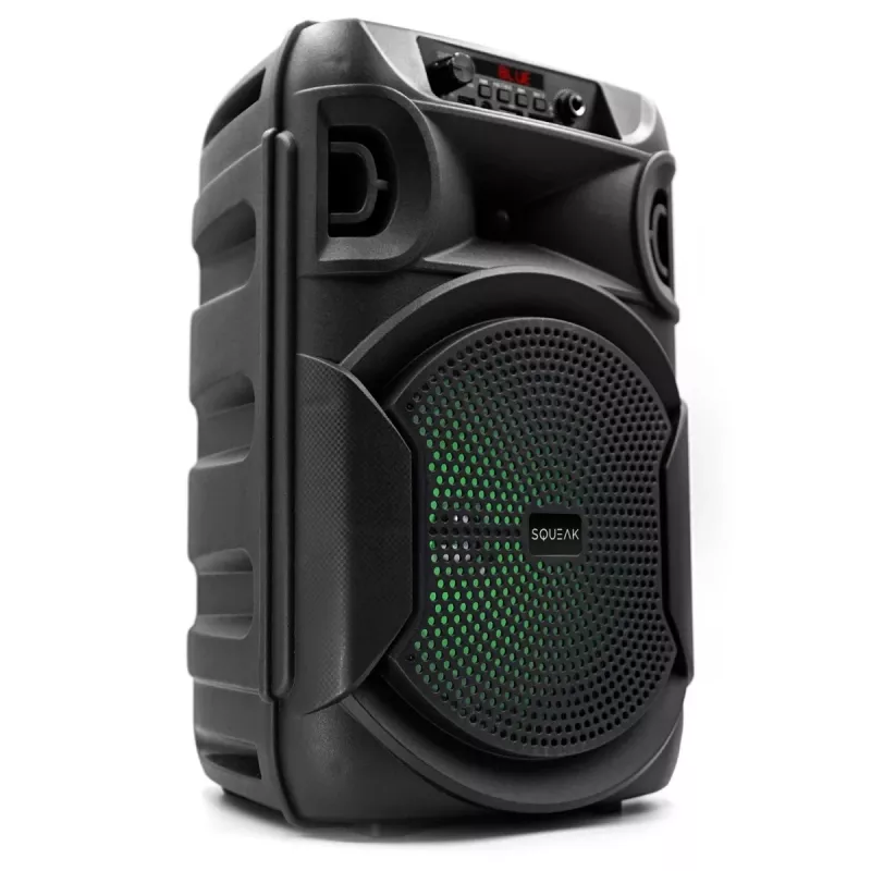 BELAIDIS KOLONĖLĖ SQUEAK PULSETOWER SQ1006, BLUETOOTH 5.3, 30W, JUODA