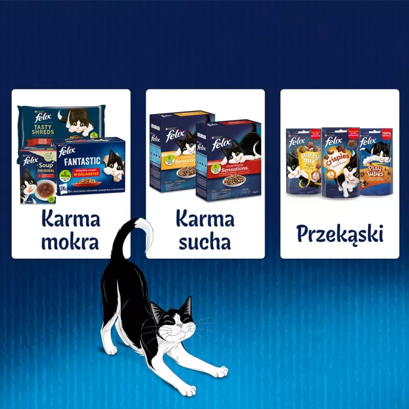 Šlapias kačių ėdalas kačiukams Purina Nestlé Felix Fantastic Junior 85 g pakelis – vištiena