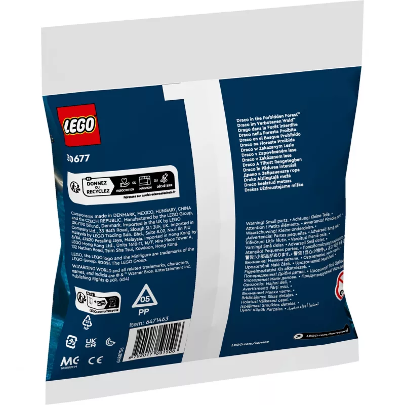 LEGO Harry Potter rinkinys 30677 – Drakas Uždraustajame miške minifigūrėlės scena