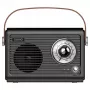 Nešiojamas radijo imtuvas Savio RS-01 Analog Black