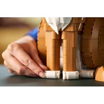 LEGO IDEAS 21376 Oranžinė katė