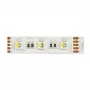 Synergy 21 LED Flex Strip 5050 - 60 RGB DC24V + RGB-W vieno lusto KW IP68