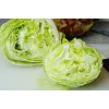 Sėklos Crisp Ice Lettuce Summer Toraf daržovių, 1g pakuotė