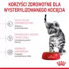 Royal Canin Kitten Sterilised sausas kačių maistas kačiukams, 3.5 kg, paukštienos skonio