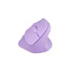 NATEC Crake 2 pelė universali Dešiniajai rankai RF belaidė + Bluetooth optinė 2400 DPI