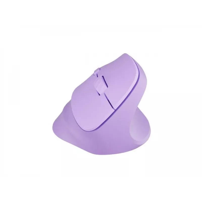 NATEC Crake 2 pelė universali Dešiniajai rankai RF belaidė + Bluetooth optinė 2400 DPI