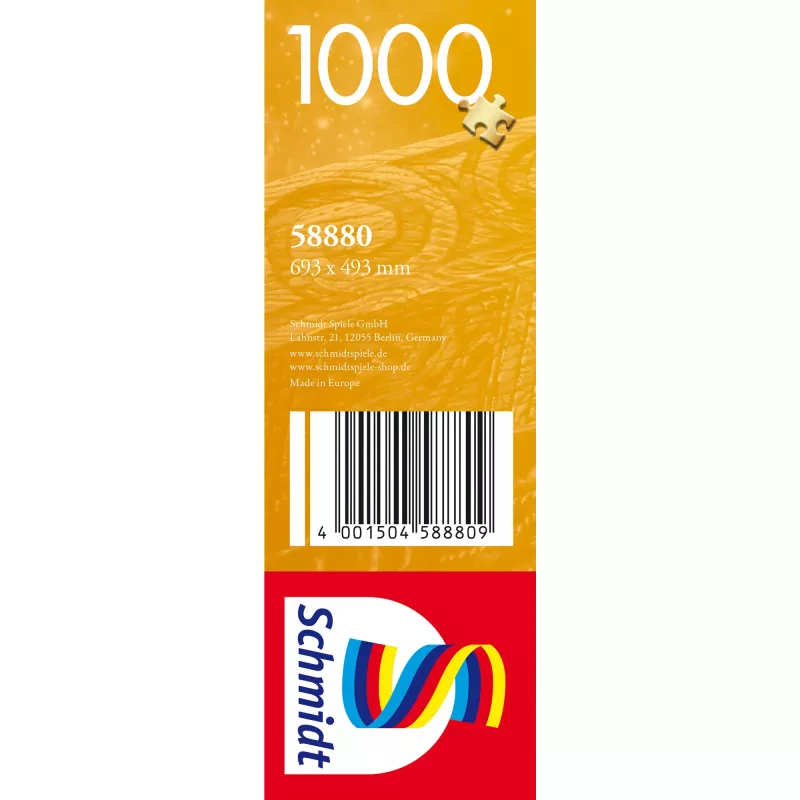 Dėlionė Der Astronom, 1000 dalių