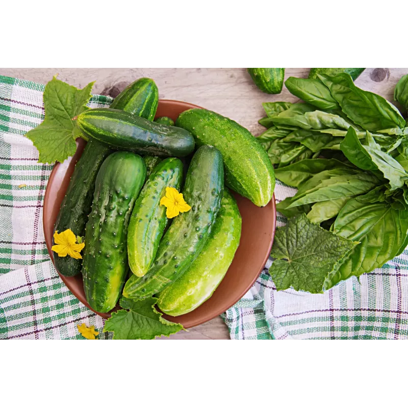 Agurkų Sėklos Srem Cucumber F1 Toraf, 5g Pakuotė