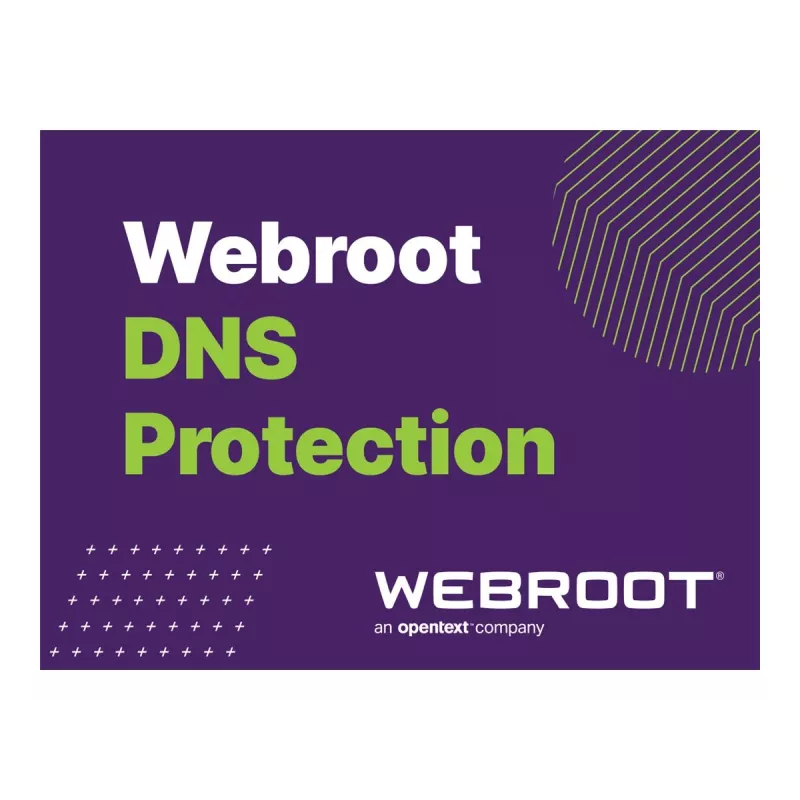 Webroot DNS Protection su GSM Console | 2 metai | Licencija 1-9 vartotojams