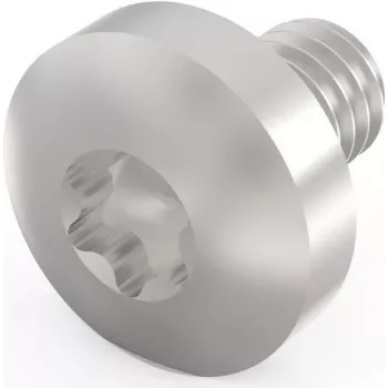 Schroff Torx varžtas M4X6 E/PRO (100 vnt./komplekte) (24560151)