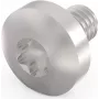 Schroff Torx varžtas M4X6 E/PRO (100 vnt./komplekte) (24560151)